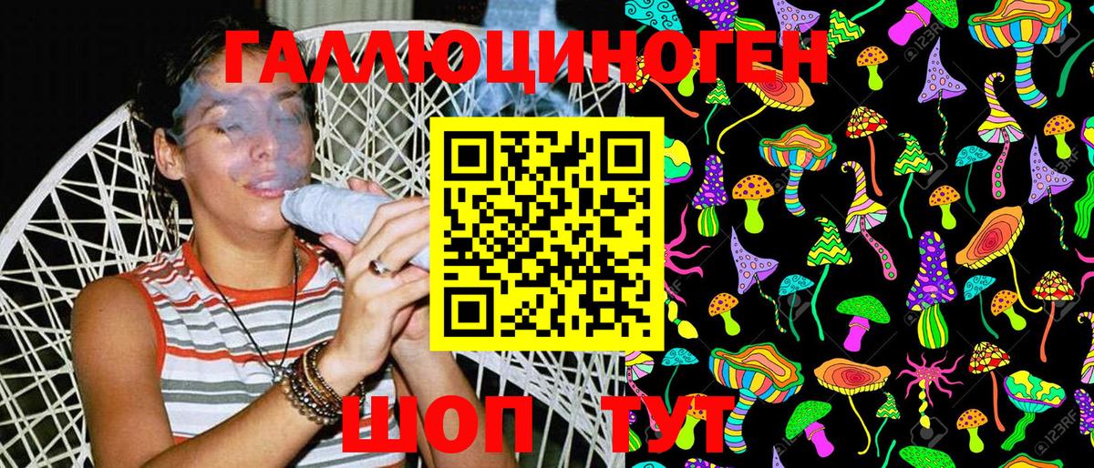 Псилоцибиновые грибы Psilocybe Дзержинский